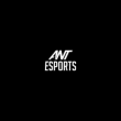 ANT ESPORTS